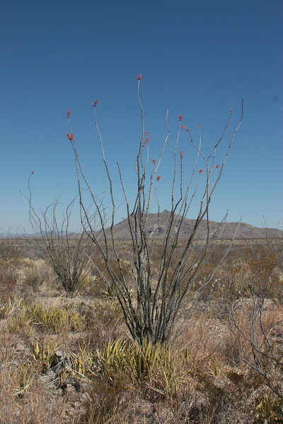 Big Bend