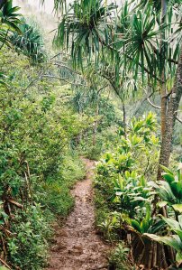 The Kalalau Trail