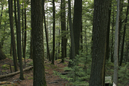 Appalachian Trail